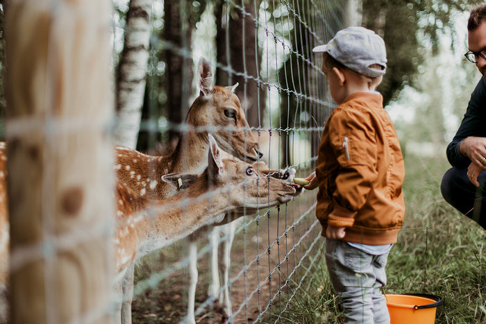 Les animaux peuvent-ils nous aider à atteindre les objectifs du développement durable ?
