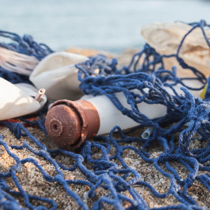bouteilles plastique pollution